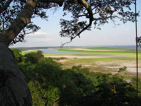 long-view-of-exposed-river-bottom-from-treetop_1003