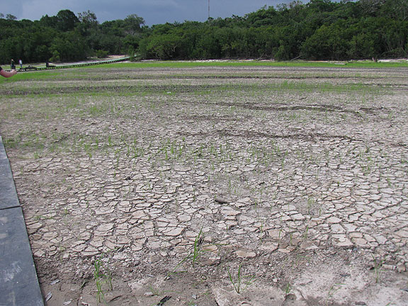 parched-riverbed-along-ramp-to-jungle-palace_0943
