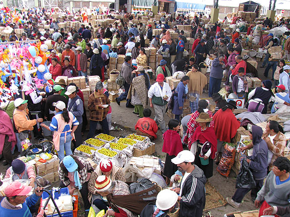 ambato-market-big-view_3105