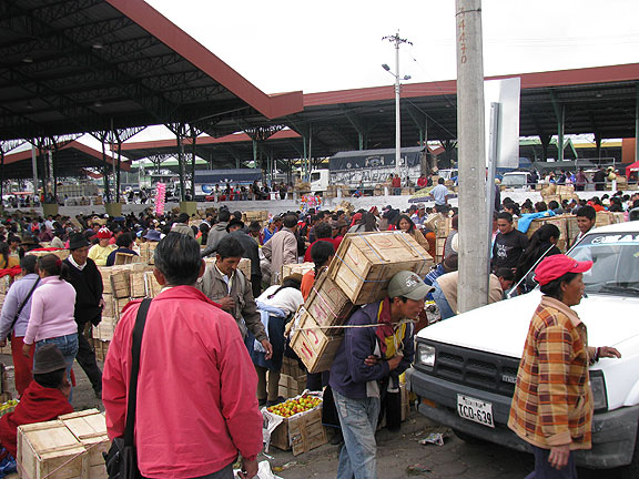 ambato-market-first-view_3101