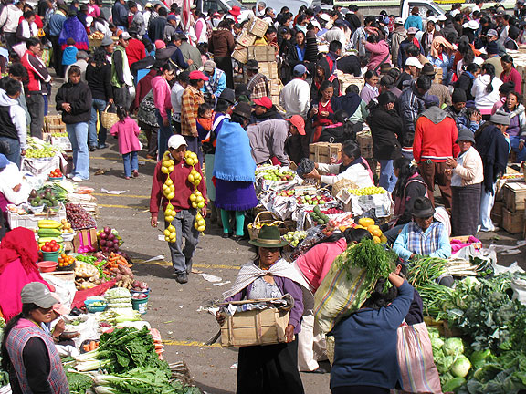 ambato-market-long-view_3108