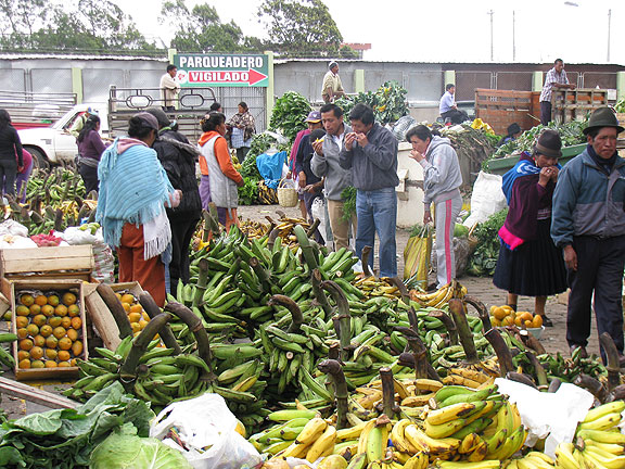 tasting-bananas_3143