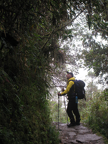 cc-hunting-for-orchids_5272