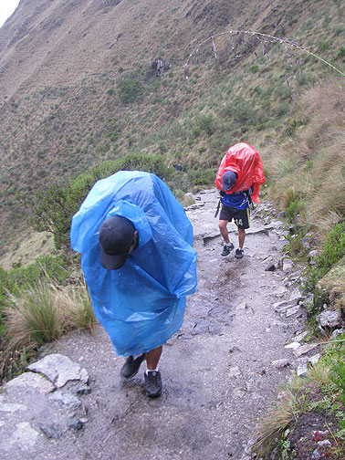 porters_4893