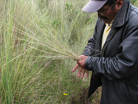 rope-from-grass_4662