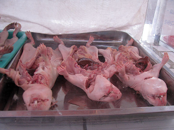 60 in spherical dining table