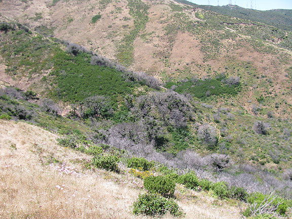 Owl-Canyon-from-ridge-down_2740