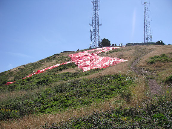 pink-bow-from-curve-below_2290