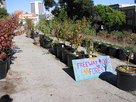 freeway-food-forest-sign_9074