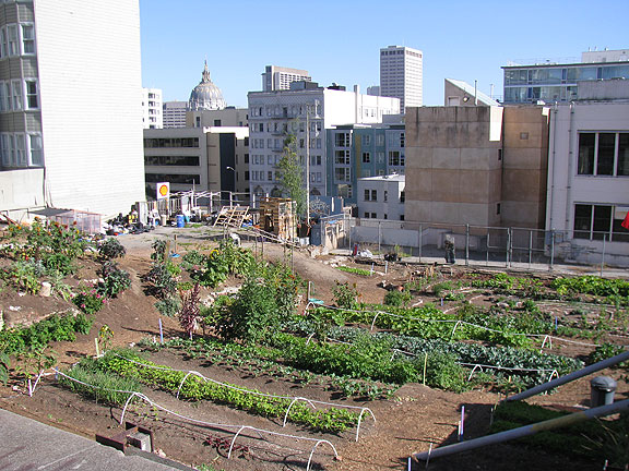 gough-free-farm-w-city-hall_9063