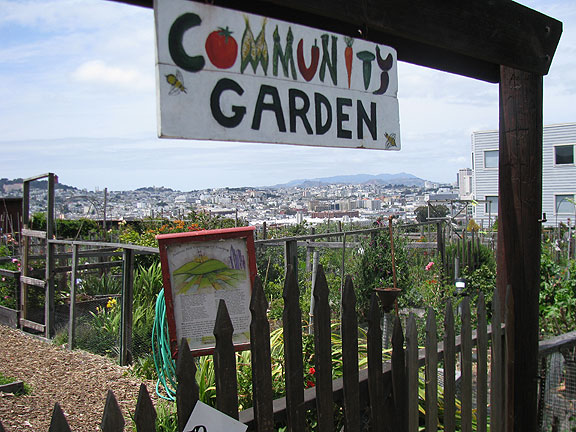 pothill-comm-garden-sign_2045