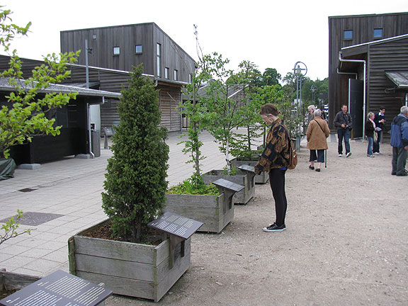 tree-exhibit_8042