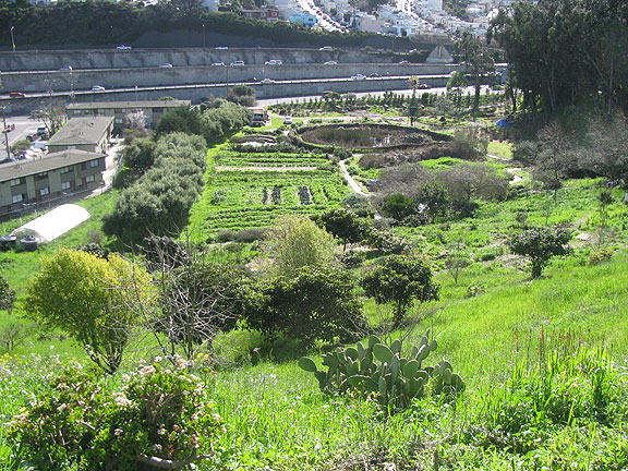 Alemany-Farm-2011_5468