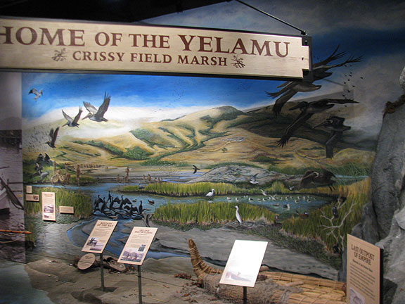 home-of-yelamu-crissy-field-marsh_2065
