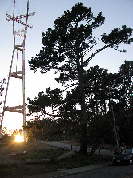 This tree was full too, and the sun was just setting at the foot of Sutro Tower, still one of the oddest structures in the City.