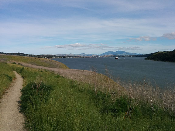 Had to put a nice photo first... this is on the Bay Trail north of Carquinez Strait looking east/southeast towards Mt. Diablo on May 4.