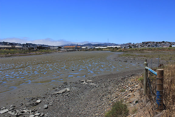Yosemite Creek mudflats at low tide, one of the latest restoration projects going on along the southeastern bayshore in San Francisco...