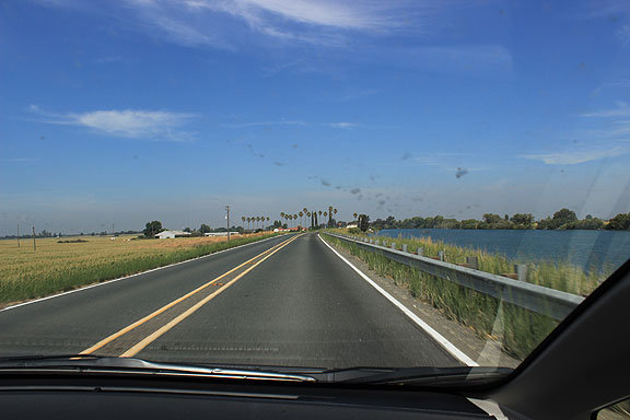 Grand Island at left, Sacramento River at right, as we roll along the levee heading north towards our next stop in Walnut Grove.