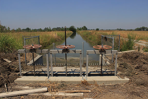 But they are consciously trying to preserve an important stop on the Pacific Flyway, and know that after all the water projects in the state, they are obliged to manage the water supplies for the wetlands too.