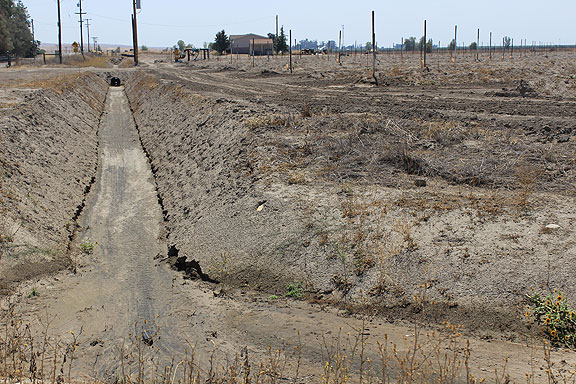 This is the same farmer's field nearer to Butte Road, with bone dry irrigation canals, and a pump and drip irrigation with nothing happening in the drought.