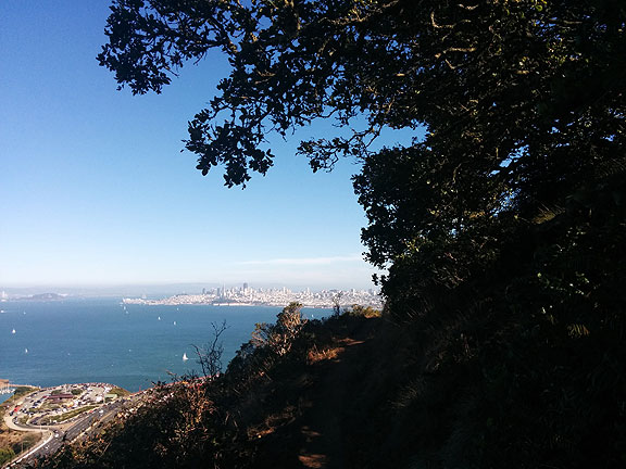 From a trail on the Marin Headlands looking back towards San Francisco from under an amazing oak tree...