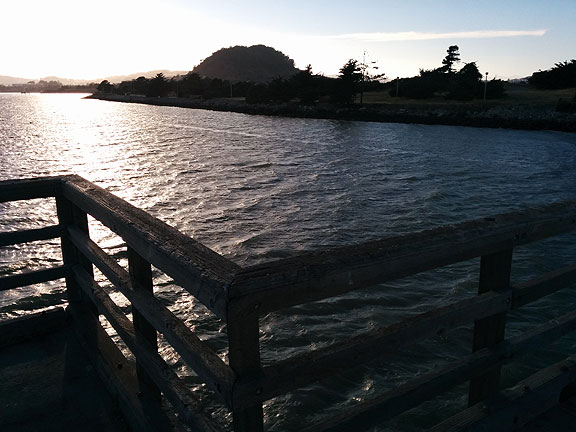 Off the end of the fishing pier at Candlestick Point State Recreation Area, the only urban park in the California State Park system.