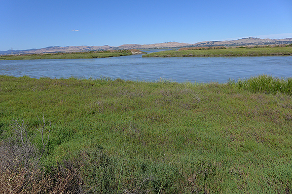 Dutchman Slough near the breach to Cullinan Ranch.