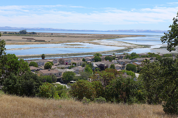 A variety of berms and data gathering stations help marshland dynamics re-emerge while providing the measurements to help the biologists and hydrologists figure out what went right and what didn't.
