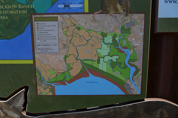 The sites we visited feature a lot of informative signage along the bayshore trails.