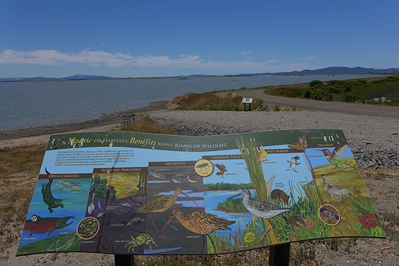 Helpful signs to alert uninformed visitors to the natural inhabitants of this shoreline zone.