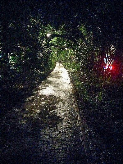 Just outside our apartment is this beautiful walkway in the center median of Avenida Amsterdam.