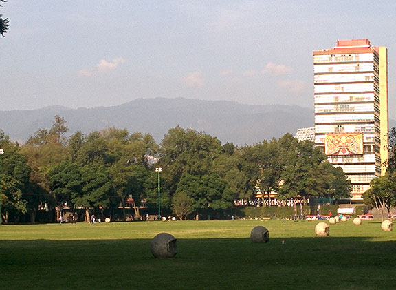 Early morning on the UNAM campus.
