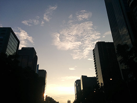 Many mornings I left from the hotel and walked across Paseo de la Reforma just after dawn... 