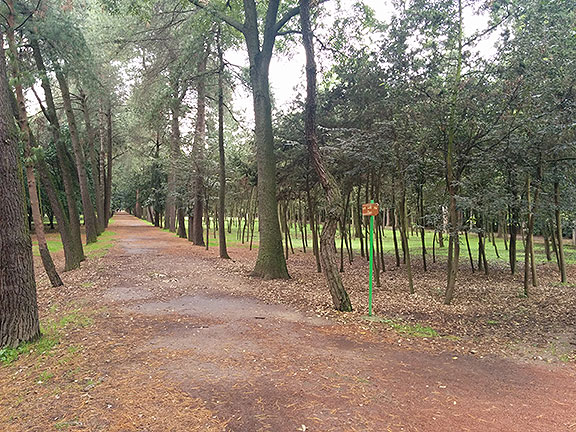 Parque Viveros