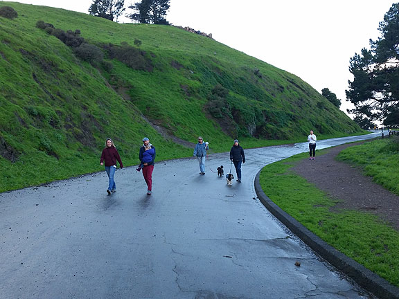 Pets and kids dominate the Bernal Heights ring road...