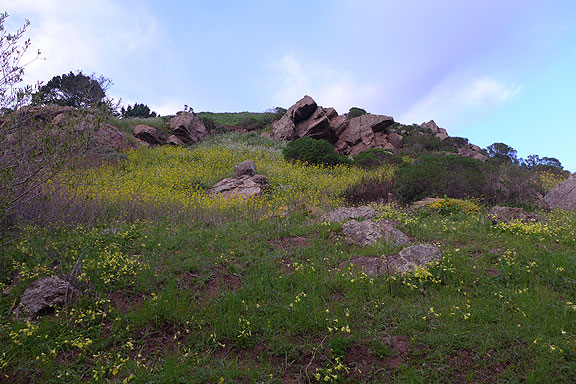 Glen Canyon, a wild spot in the heart of the City.